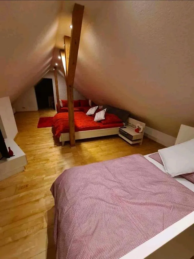 Messe Playmobil Hub: Self Check-In & Netflix Near Nürnberg Apartment Schwabach